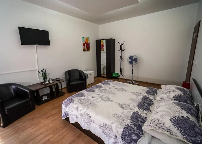 Pensiunea Dolce מלון