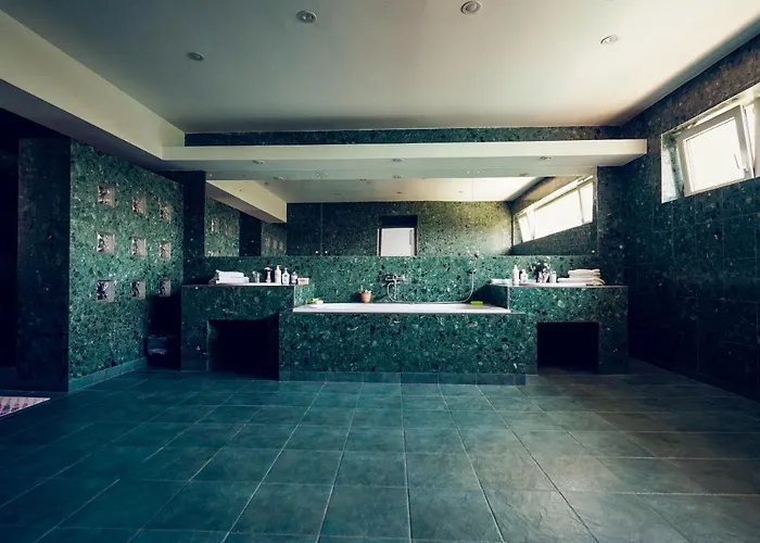 Hotell Pensiunea Dolce *